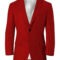 Ashley Barrett The Boys Red Blazer