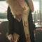 Peaky Blinders S06 Anya Taylor Joy Brown Fur Coat